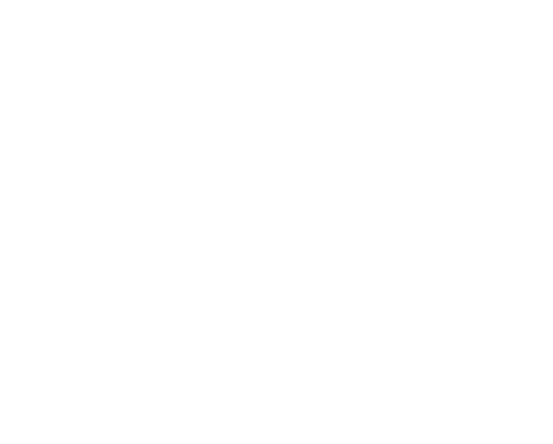 Almonteco Enterprises Logo